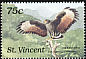 Common Black Hawk Buteogallus anthracinus  1989 Birds of St Vincent 