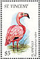 American Flamingo Phoenicopterus ruber  1995 Birds  MS