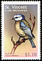 Eurasian Blue Tit Cyanistes caeruleus  1997 Birds of the world 