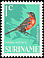 Red-breasted Meadowlark Leistes militaris  1966 Birds 