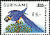 Blue-and-yellow Macaw Ara ararauna  1993 Surcharge on 1991.01 