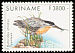 Striated Heron Butorides striata  1998 Birds 