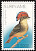 Tropical Royal Flycatcher Onychorhynchus coronatus  2002 Birds 