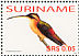 Reddish Hermit Phaethornis ruber  2006 Birds Sheet