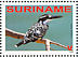 Pied Kingfisher Ceryle rudis  2008 Birds Sheet