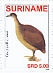 Great Tinamou Tinamus major  2009 Birds Sheet