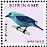 Blue-grey Tanager Thraupis episcopus  2013 Birds 