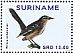 Chalk-browed Mockingbird Mimus saturninus  2014 Birds Sheet