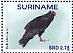 Turkey Vulture Cathartes aura  2017 Birds Sheet