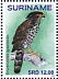 Congo Serpent Eagle Dryotriorchis spectabilis  2018 Birds of prey 2x12v sheet