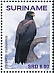 Black Eagle Ictinaetus malaiensis  2019 Eagles 2x12v sheet
