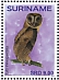 Minahasa Masked Owl Tyto inexspectata  2019 Owls 2x12v sheet