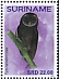 Greater Sooty Owl Tyto tenebricosa  2019 Owls 2x12v sheet