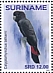 Glossy Black Cockatoo Calyptorhynchus lathami  2019 Parrots 2x12v sheet