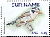 White-eared Puffbird Nystalus chacuru  2020 Birds 2x12v sheet