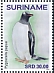 Gentoo Penguin Pygoscelis papua  2020 Penguins 