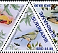 Palkachupa Cotinga Phibalura boliviana  2023 Birds Sheet