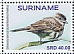 Crowned Slaty Flycatcher Griseotyrannus aurantioatrocristatus Crowned Slaty Flycatcher Griseotyrannus aurantioatrocristatus