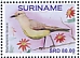 Cattle Tyrant Machetornis rixosa Cattle Tyrant Machetornis rixosa