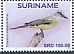 Tropical Kingbird Tyrannus melancholicus Tropical Kingbird Tyrannus melancholicus