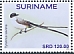 Fork-tailed Flycatcher Tyrannus savana Fork-tailed Flycatcher Tyrannus savana
