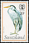 Grey Heron Ardea cinerea  1976 Birds 