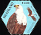 African Fish Eagle Icthyophaga vocifer  2004 SAPOA 