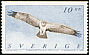 Osprey Pandion haliaetus  2002 Osprey 
