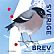 Eurasian Bullfinch Pyrrhula pyrrhula  2018 Winterbirds Booklet, sa