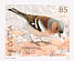 Eurasian Chaffinch Fringilla coelebs  2007 Birds Booklet, sa