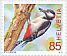 Great Spotted Woodpecker Dendrocopos major  2018 Animals of the forest 4v set, sa