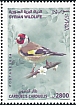 Syria 2024 Birds 