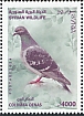 Syria 2024 Birds 
