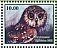 Northern Saw-whet Owl Aegolius acadicus  2023 Owls 
