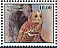 Tawny Owl Strix aluco  2023 Owls 