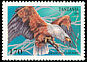 African Fish Eagle Icthyophaga vocifer  1994 Birds of prey 