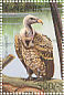 RÃ¼ppell's Vulture Gyps rueppelli  1996 Birds Sheet