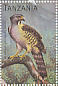 Congo Serpent Eagle Dryotriorchis spectabilis  1996 Birds Sheet