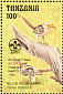 Eastern Yellow-billed Hornbill Tockus flavirostris
