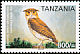 Fraser's Eagle-Owl Ketupa poensis  2006 Endemic birds 