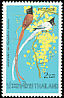 Blyth's Paradise Flycatcher Terpsiphone affinis  1975 Thai birds 