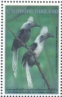 White-crowned Hornbill Berenicornis comatus  1996 Capex 96 Sheet