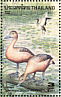 Lesser Whistling Duck Dendrocygna javanica  1996 Ducks Sheet