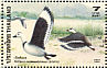 Cotton Pygmy Goose Nettapus coromandelianus  1996 Ducks Sheet