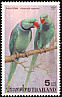 Alexandrine Parakeet Psittacula eupatria  2001 Parrots p 14x14Â¾