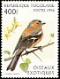Eurasian Chaffinch Fringilla coelebs  1996 Exotic birds 