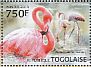 American Flamingo Phoenicopterus ruber  2013 Flamingos Sheet
