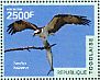 Osprey Pandion haliaetus  2014 Birds  MS