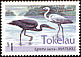 Pacific Reef Heron Egretta sacra  1993 Birds of Tokelau p 13Â½