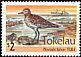Pacific Golden Plover Pluvialis fulva  1993 Birds of Tokelau p 13Â½